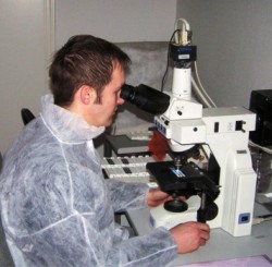Picture - Working with microscope