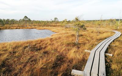 OUTDOOR RECREARTION PLANNING AND DESIGN